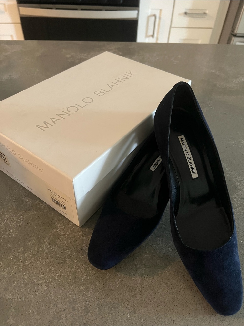 Manolo Blahnik Navy Suede Ballet Flats